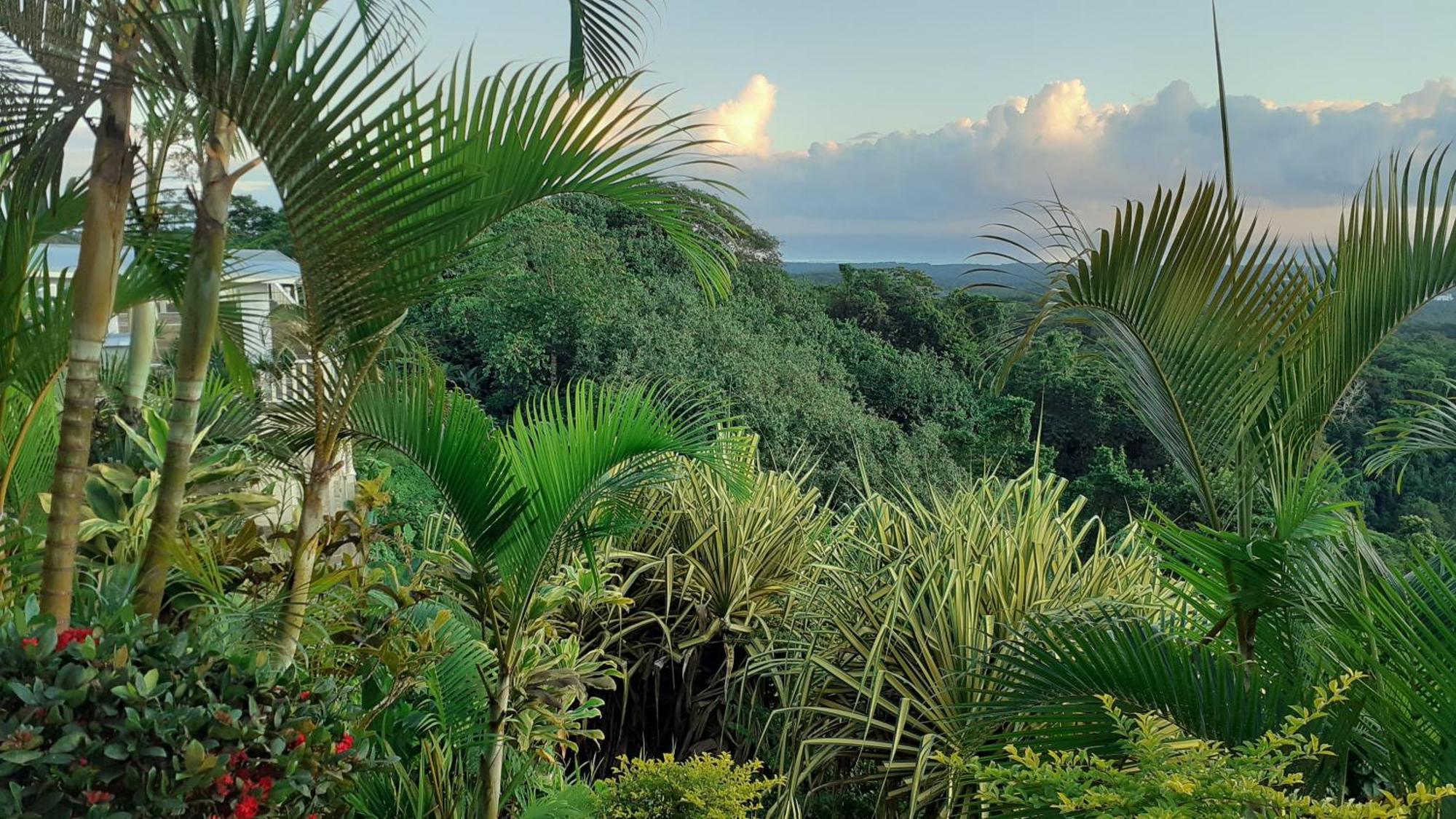 Dave Parker Eco Lodge Hotel Apia Dış mekan fotoğraf