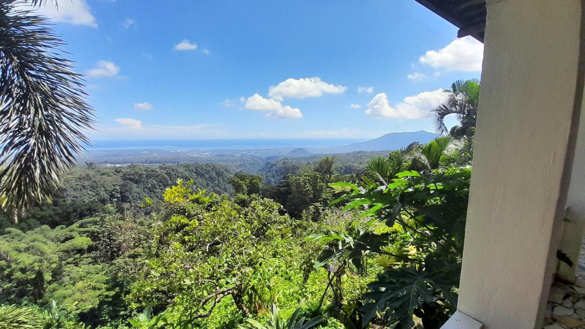 Dave Parker Eco Lodge Hotel Apia Dış mekan fotoğraf