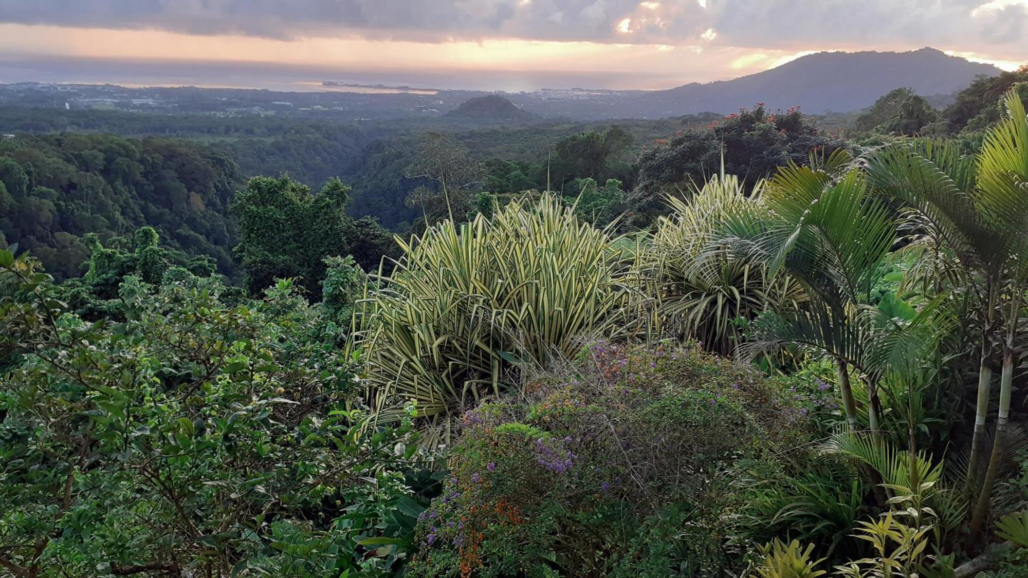 Dave Parker Eco Lodge Hotel Apia Dış mekan fotoğraf