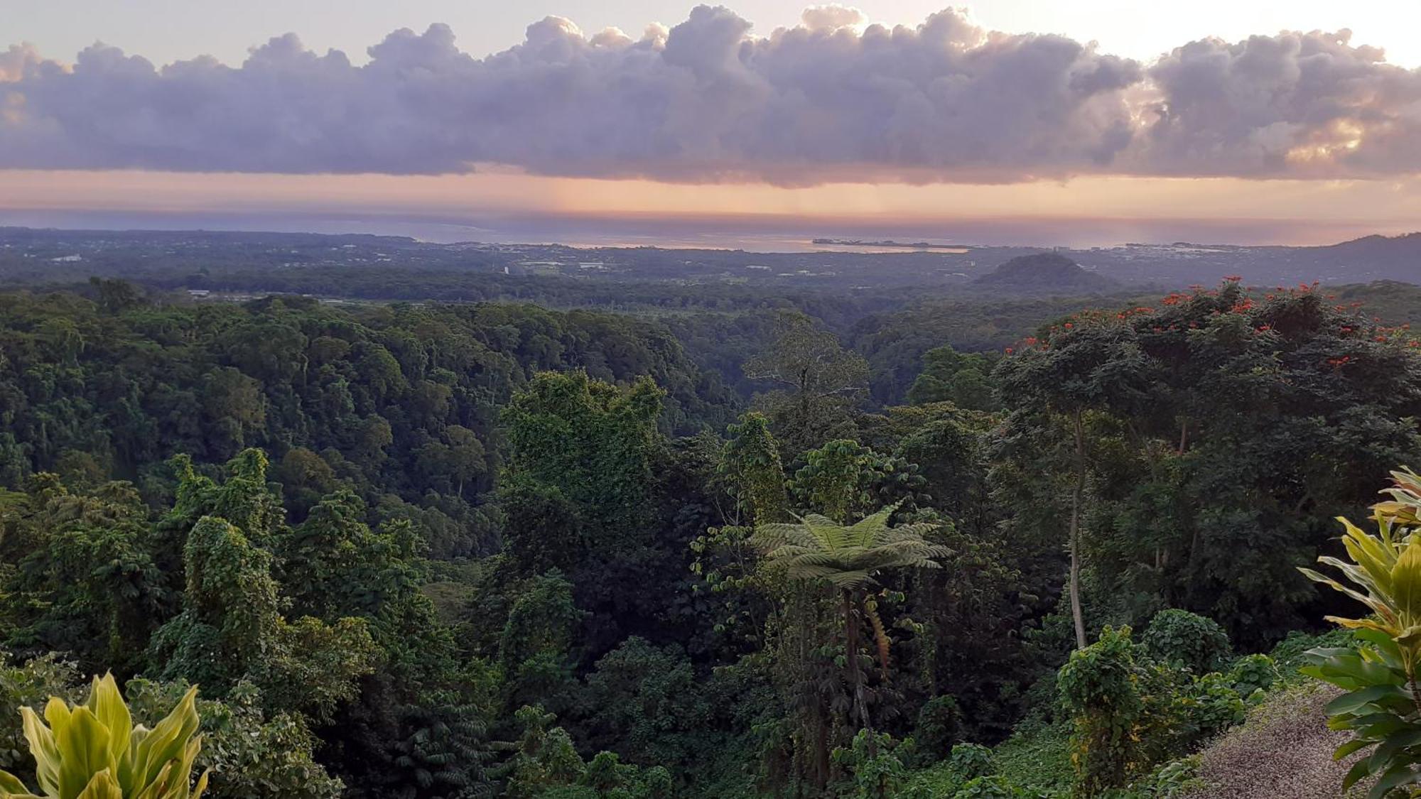 Dave Parker Eco Lodge Hotel Apia Dış mekan fotoğraf