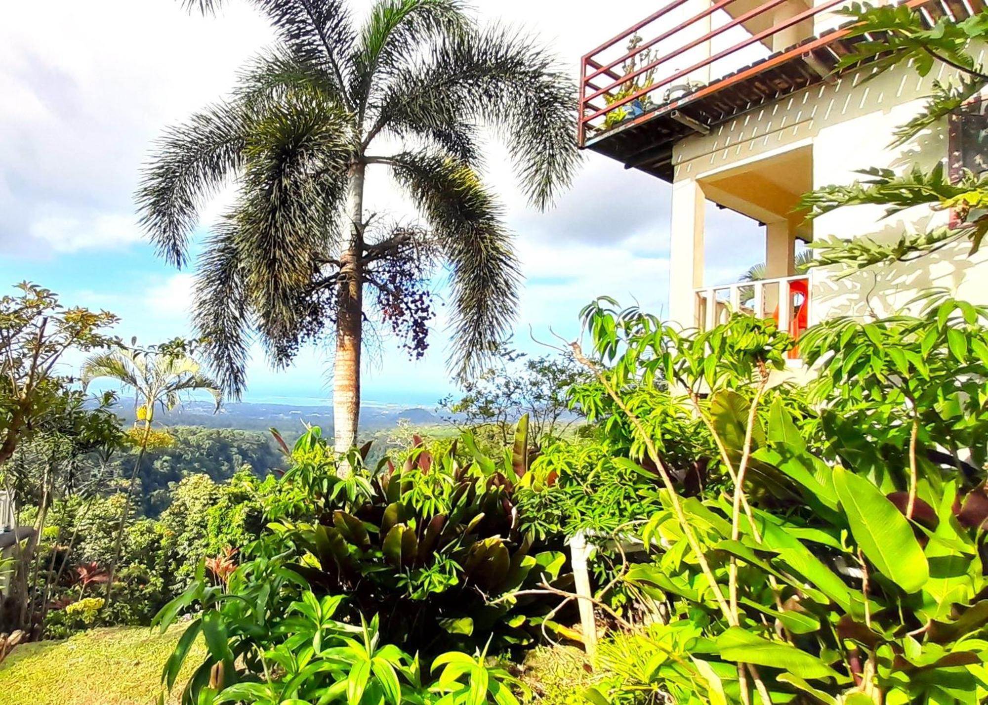 Dave Parker Eco Lodge Hotel Apia Dış mekan fotoğraf