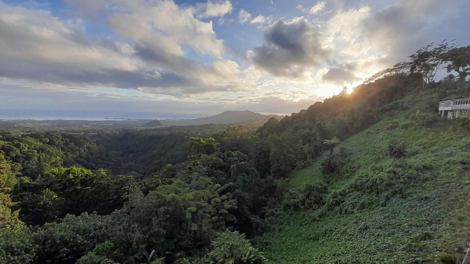 Dave Parker Eco Lodge Hotel Apia Dış mekan fotoğraf