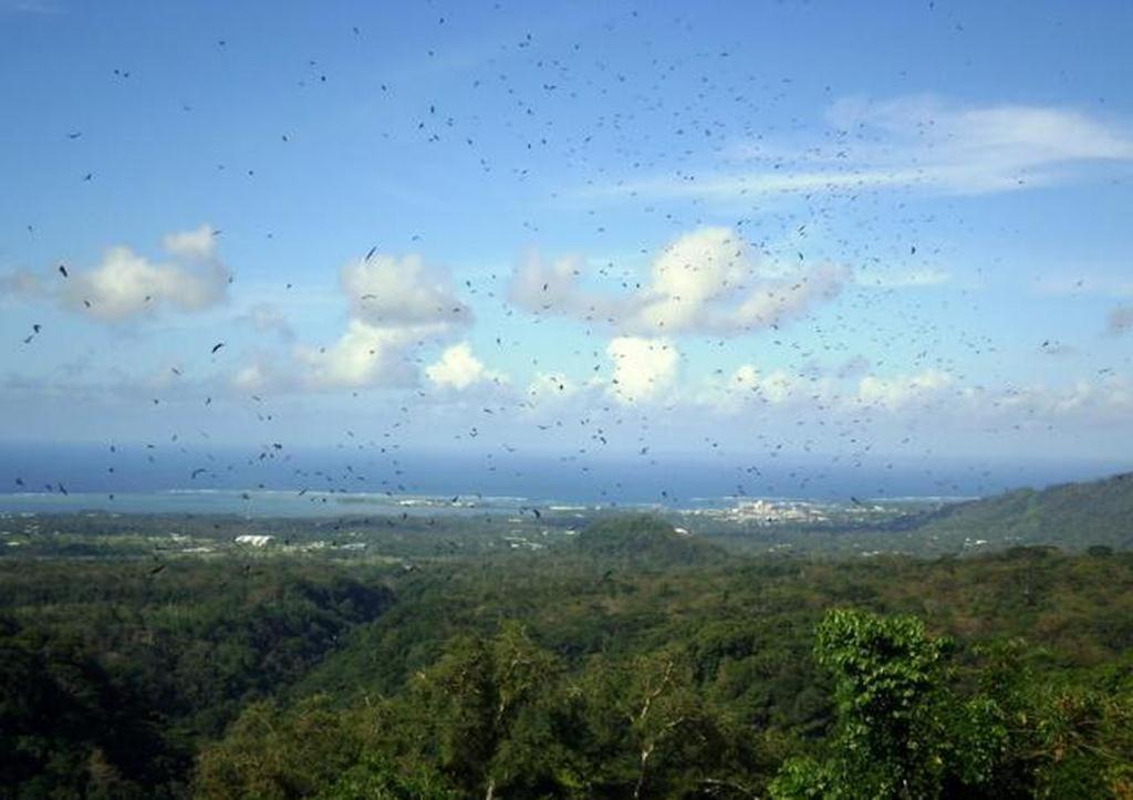 Dave Parker Eco Lodge Hotel Apia Dış mekan fotoğraf