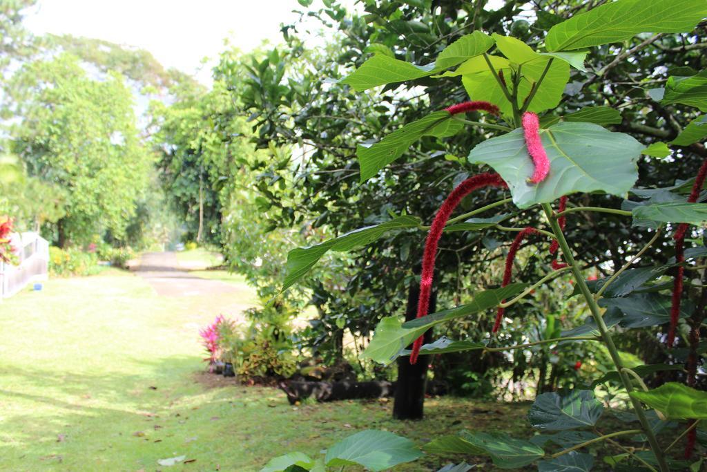 Dave Parker Eco Lodge Hotel Apia Dış mekan fotoğraf