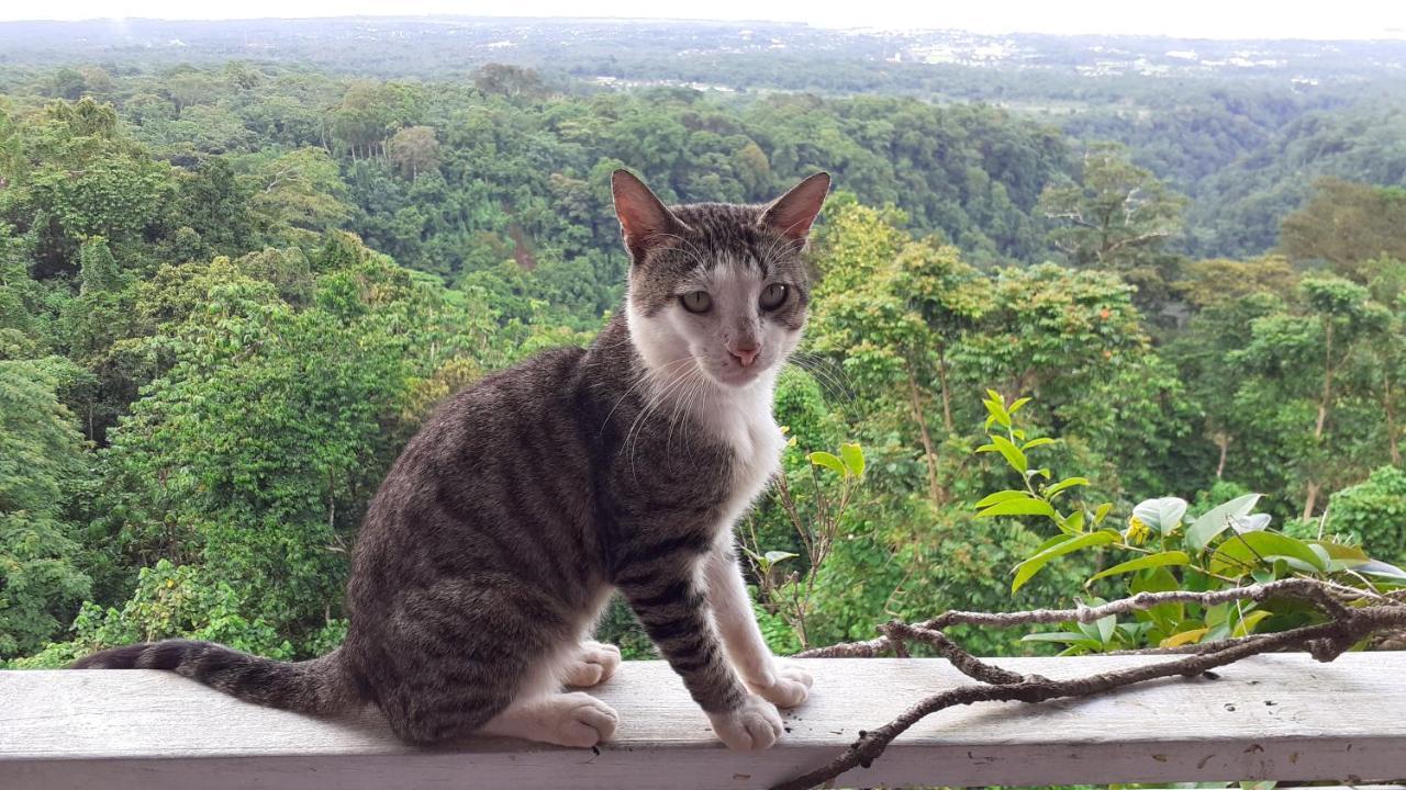 Dave Parker Eco Lodge Hotel Apia Dış mekan fotoğraf
